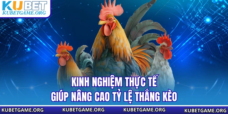 Kinh nghiệm thực tế giúp nâng cao tỷ lệ thắng kèo